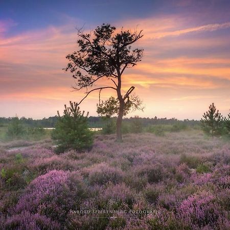 Natuurhuisje Oisterwijkヴィラ エクステリア 写真