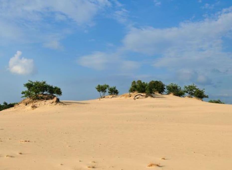 Natuurhuisje Oisterwijkヴィラ エクステリア 写真