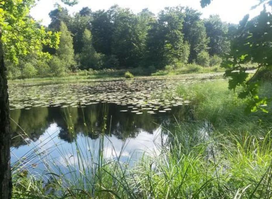 Natuurhuisje Oisterwijkヴィラ エクステリア 写真