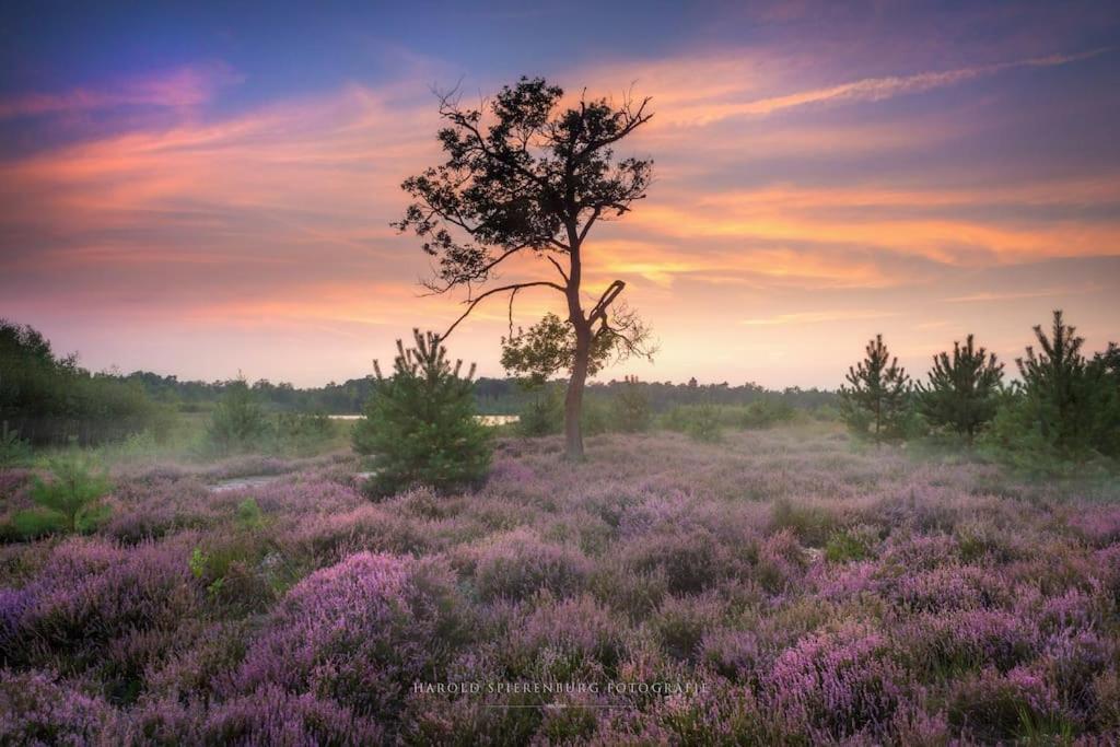 Natuurhuisje Oisterwijkヴィラ エクステリア 写真