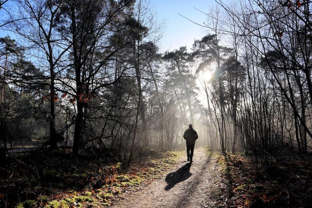 Natuurhuisje Oisterwijkヴィラ エクステリア 写真