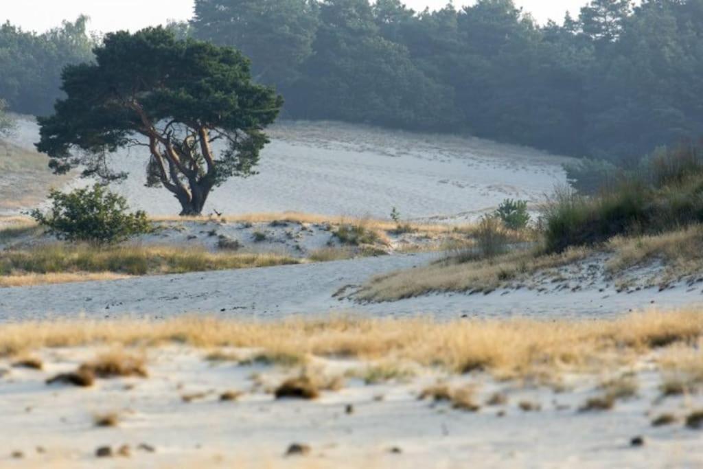 Natuurhuisje Oisterwijkヴィラ エクステリア 写真