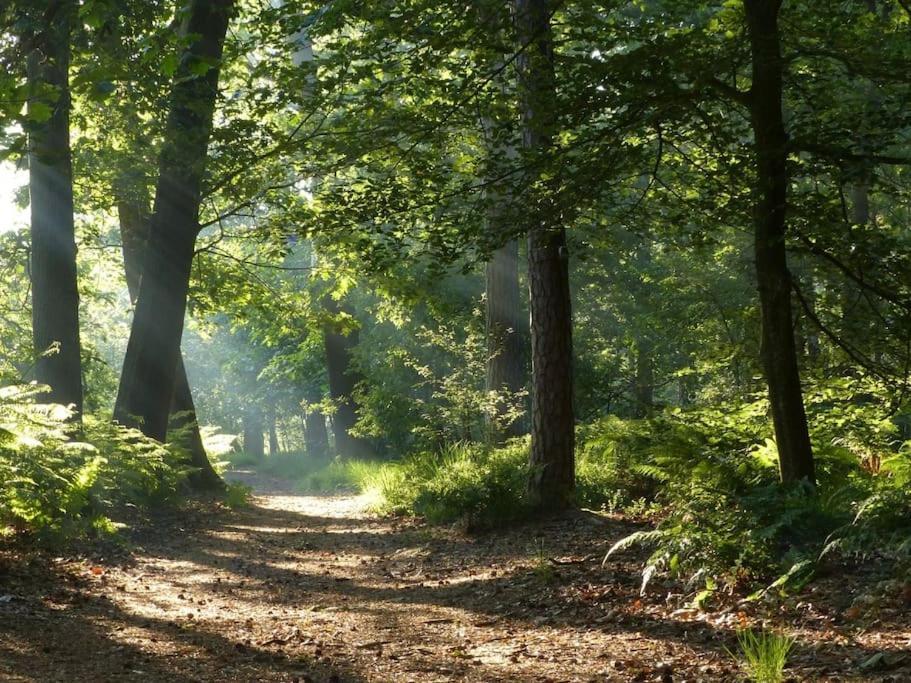 Natuurhuisje Oisterwijkヴィラ エクステリア 写真