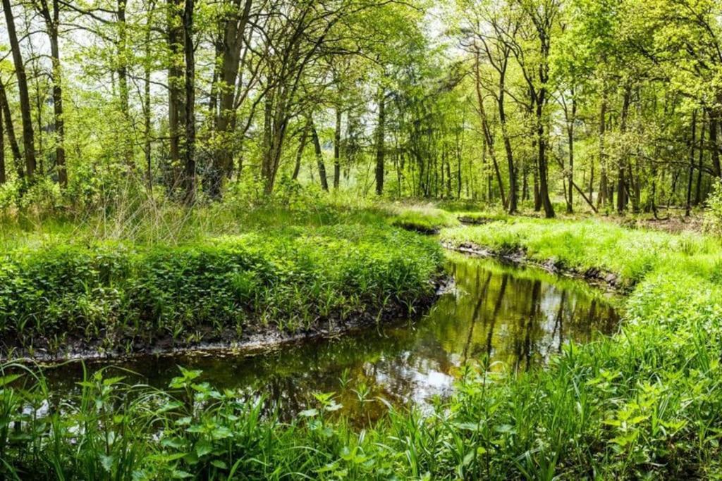 Natuurhuisje Oisterwijkヴィラ エクステリア 写真