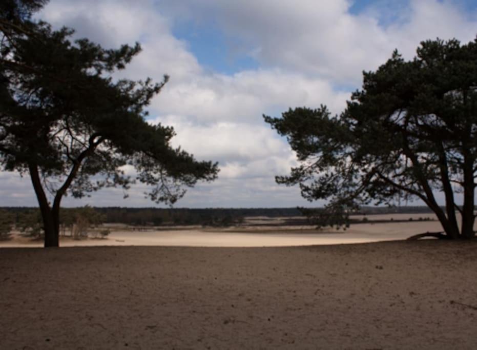 Natuurhuisje Oisterwijkヴィラ エクステリア 写真