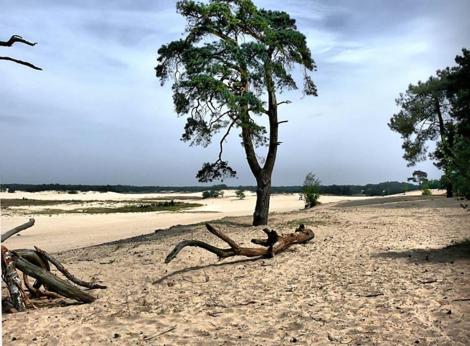 Natuurhuisje Oisterwijkヴィラ エクステリア 写真